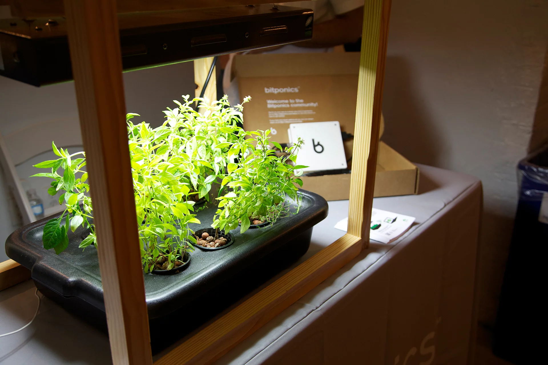 Bitponics is a "personal gardening assistant" designed to make hydroponics easier