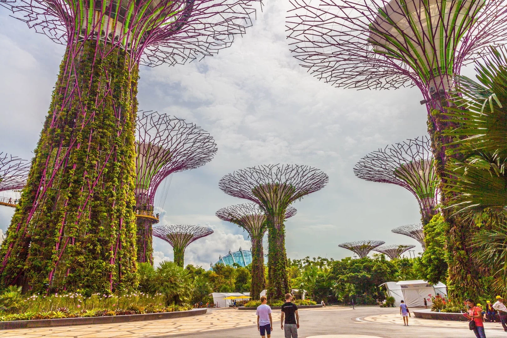 Completed in 2012, Gardens By The Bay in Singapore consist of several giant "Supertrees" home to exotic vertical gardens