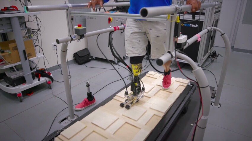 The foot's toes and heel shift pressure between one another to maintain ground contact in the dips, while not letting the foot get tipped off-balance on the humps