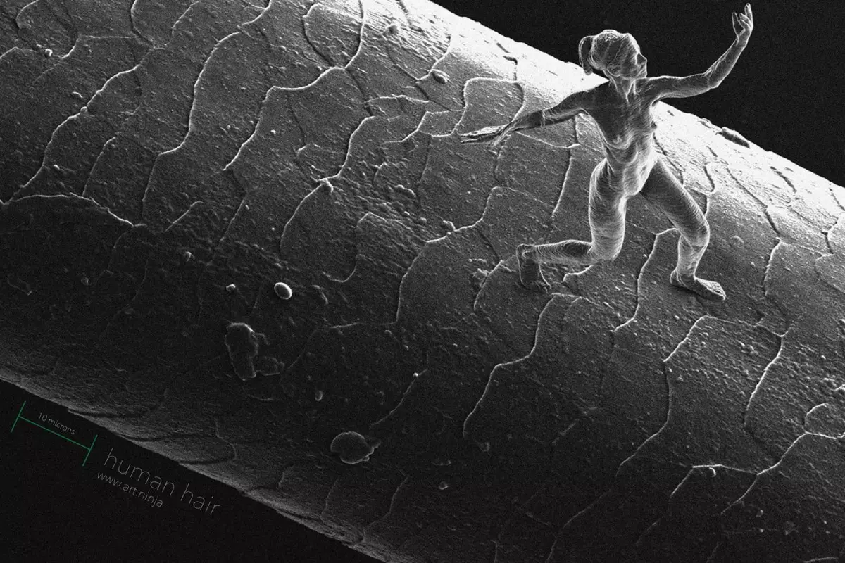 Artist Jonty Hurwitz has created sculptures so tiny that they can only be seen using an electron microscope (Photo: Jonty Hurwitz)