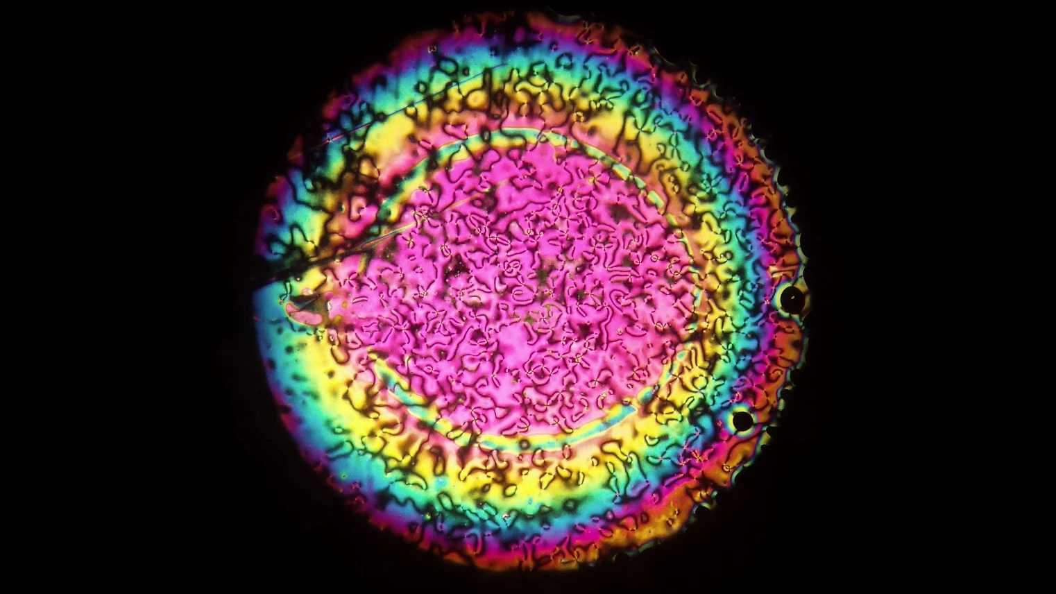 University of Leeds research student Devesh Mistry has developed a unique, auto-focusing liquid crystal lens that may help cure age-related long-sightedness