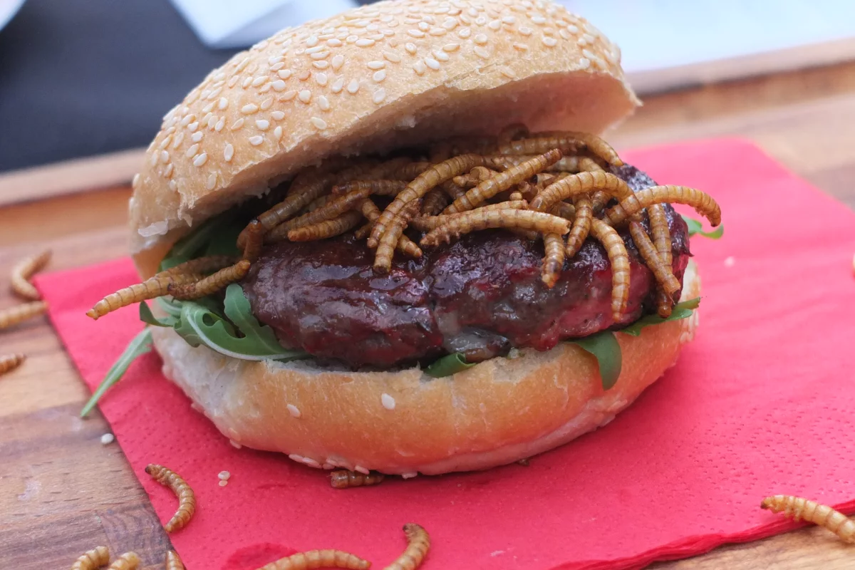 You want flies with that? Mealworms on a pigeon burger at Rentokil's pop-up "pestaurant" (Photo: Gizmag)