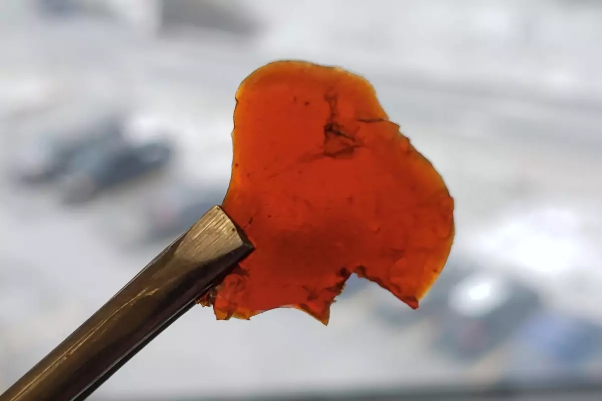 A sample of the bioplastic, which reportedly does not have a "fishy smell"