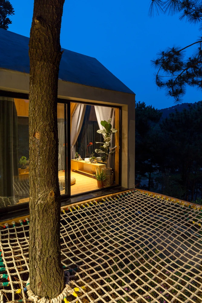 The net sits high above the ground like a bird's nest, wrapping around a pre-existing tree
