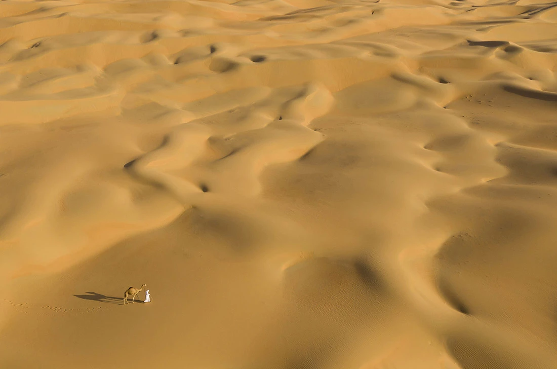 Honorable Mention, Aerial. The Walk