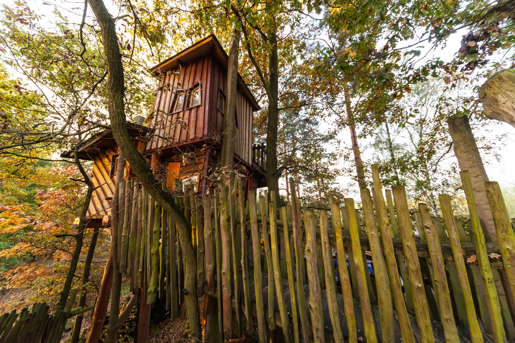 Kulturinsel Einsiedel: the treehouse hotel