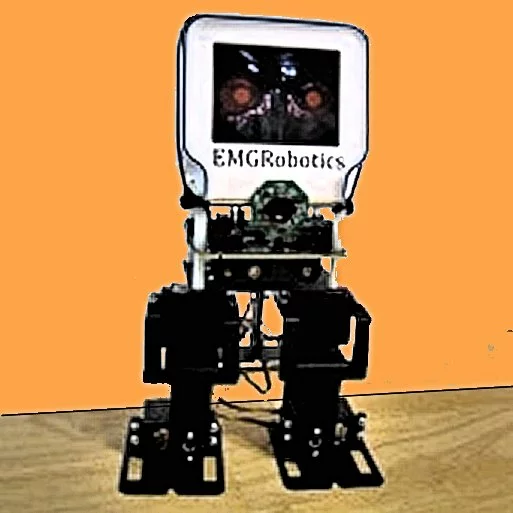 An autonomous FSLBOT using an attached chumby one Internet media controller - which includes a 454 MHz ARM processor together with 64 MB of RAM (Photo: Freescale/Eric Gregori)