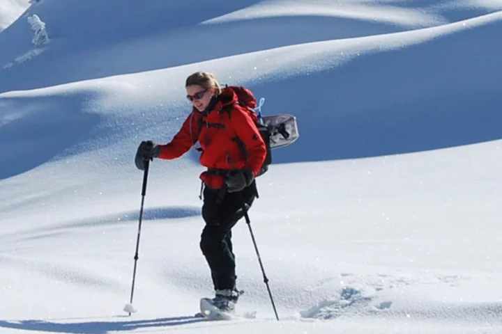 Hive gives snowshoeing a whole new dynamic