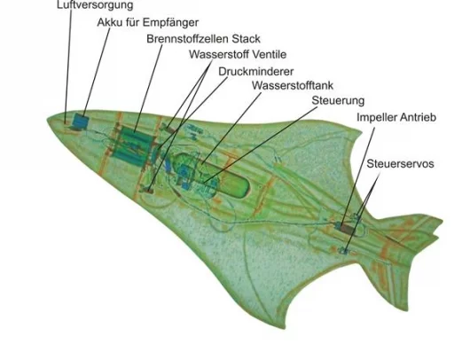 Anatomy of a HyFish