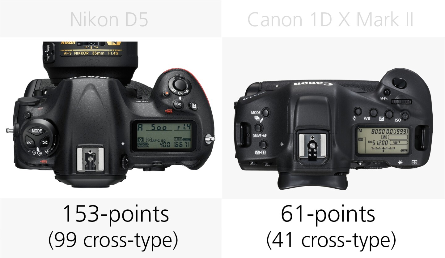 Autofocus comparison of the Nikon D5 and Canon 1D X Mark II