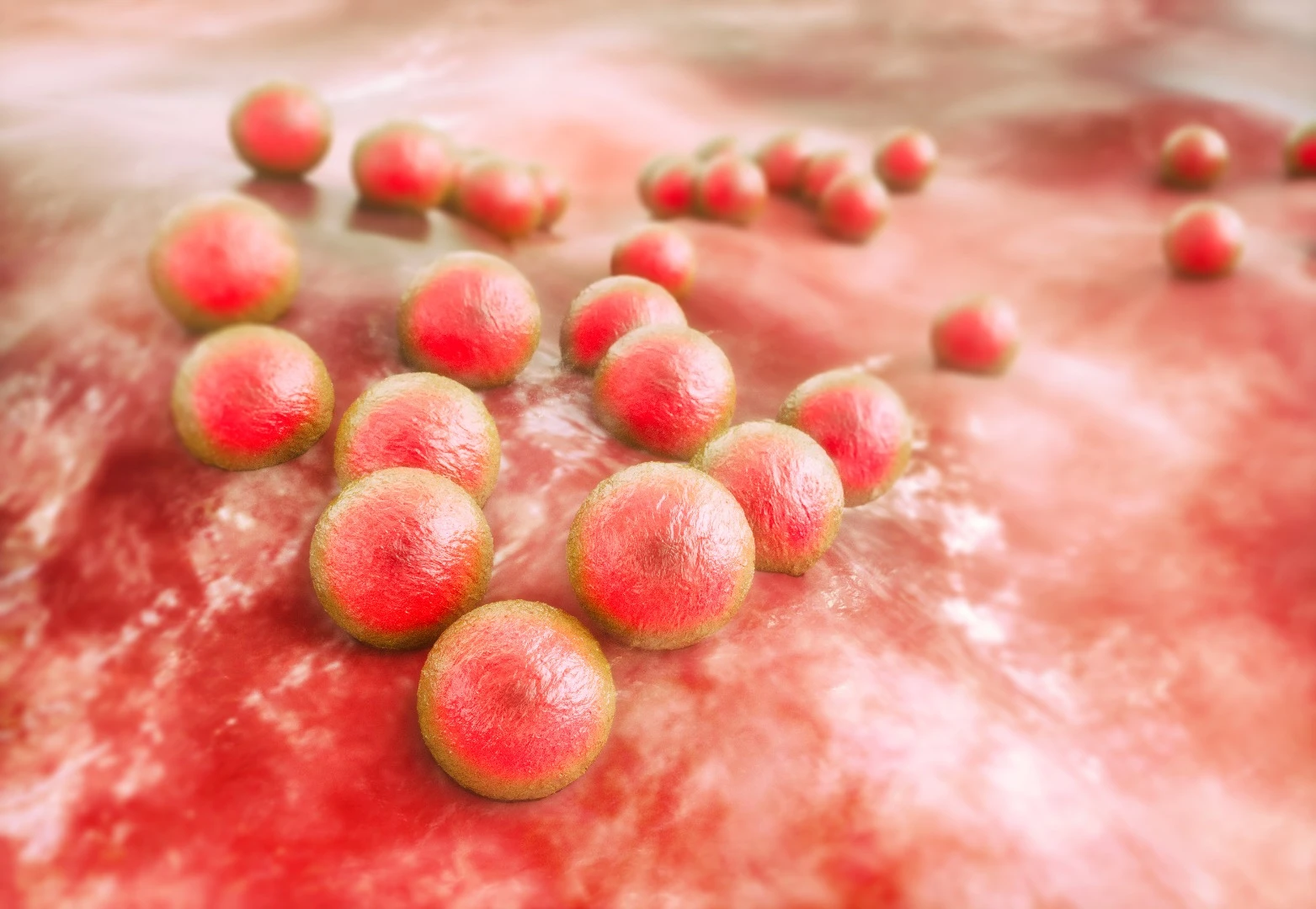 In testing, the Kisameet clay was able to kill of 16 dangerous bacteria, including MRSA (pictured)