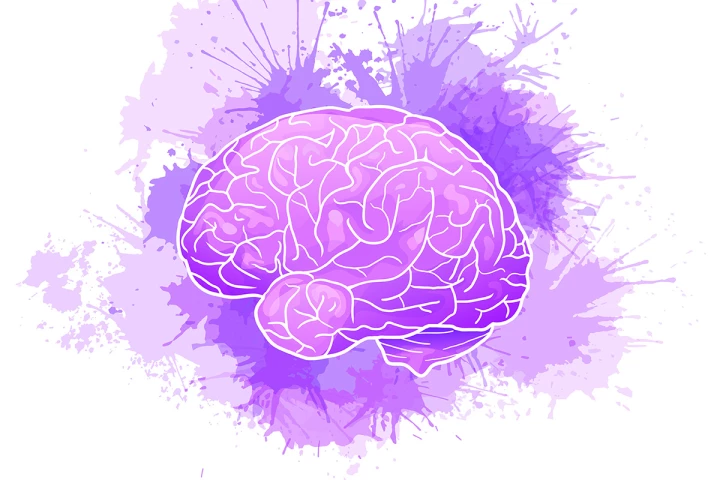 A new finding about how the brain's immune cells could help guide the development of effective future treatments for Alzheimer's disease