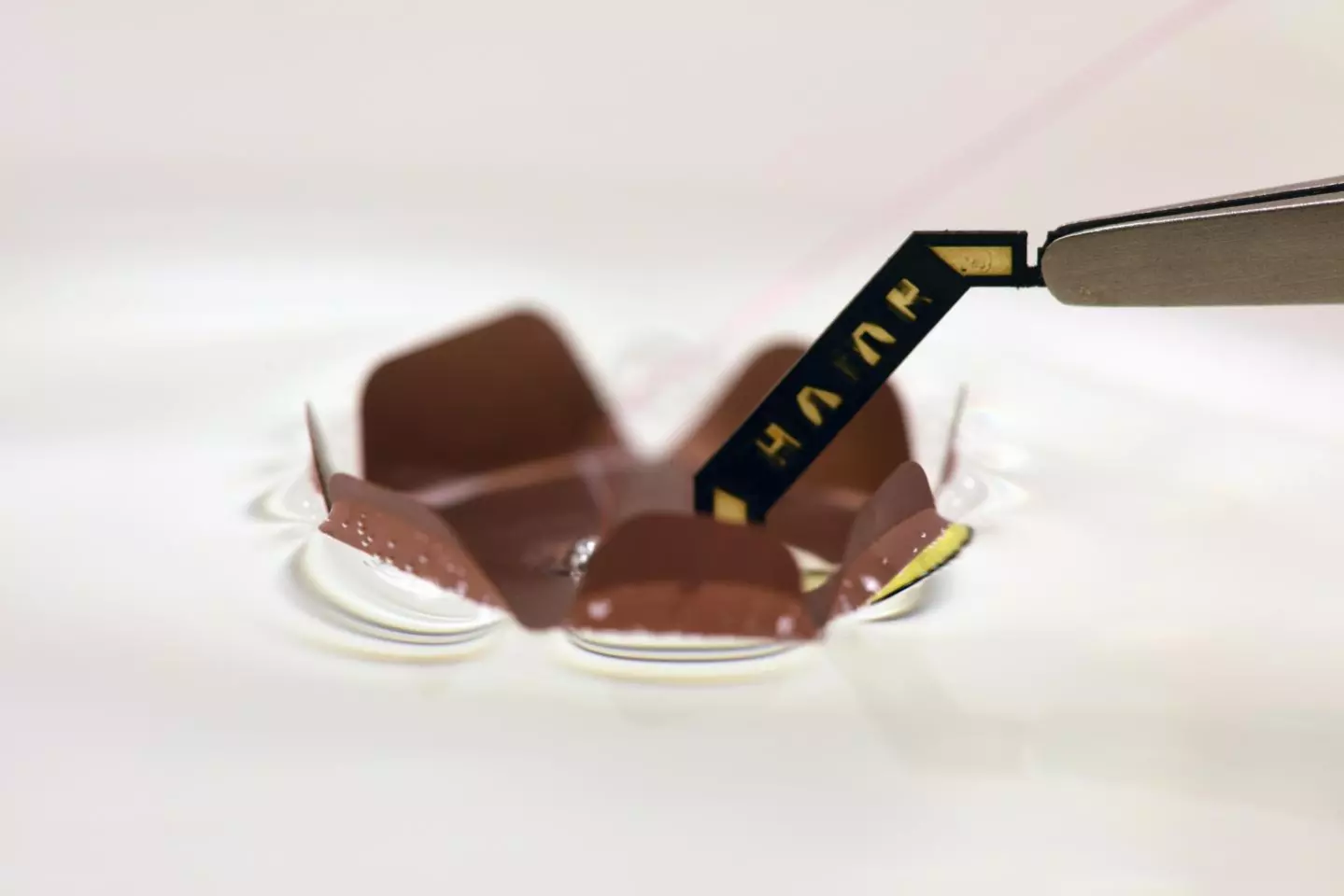 A closer look at one of HAMR's foot pads