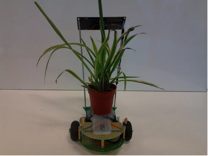 A naked Plant Host Drone (PHD)