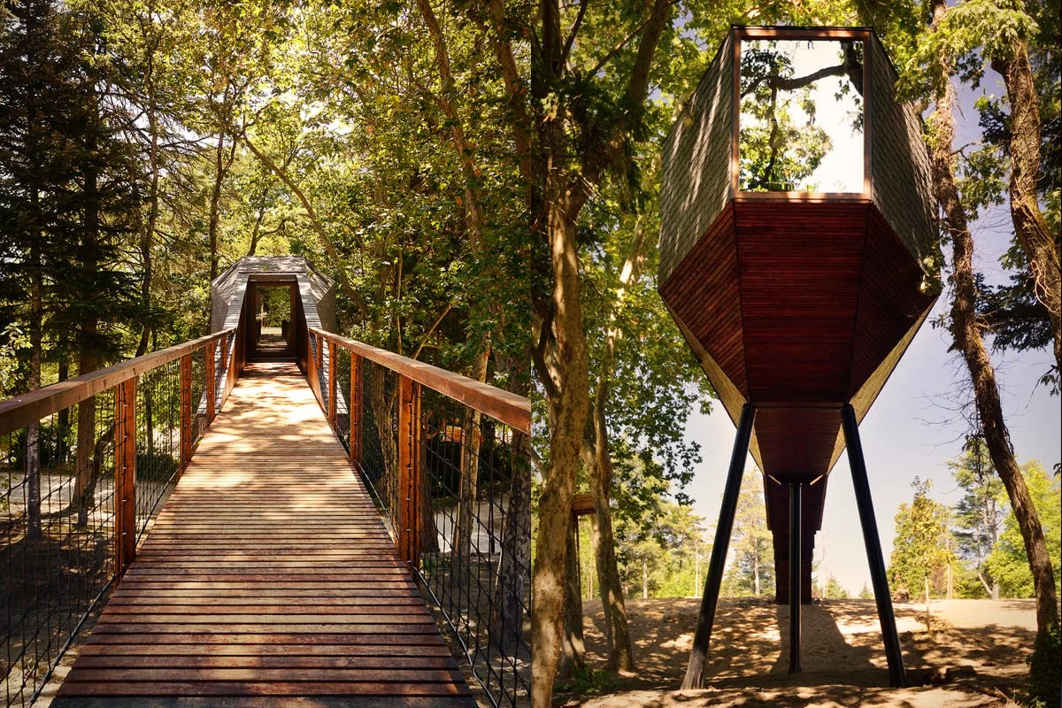 A wooden walkway leads to the Tree Snake Houses, by RA Architectural and Design Studio