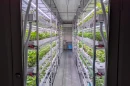 The view through the doors of one of the Wasabi Cultivation Modules
