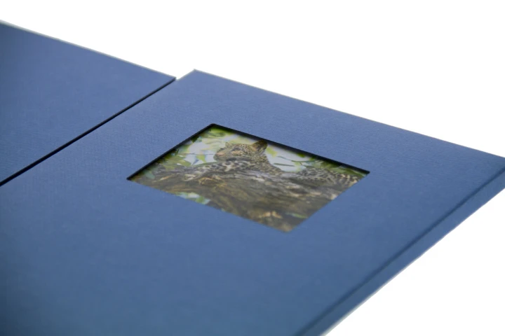 With an LCD display housed within the body of a folder, TV in a Card can bring a brochure, greetings card or training booklet to life