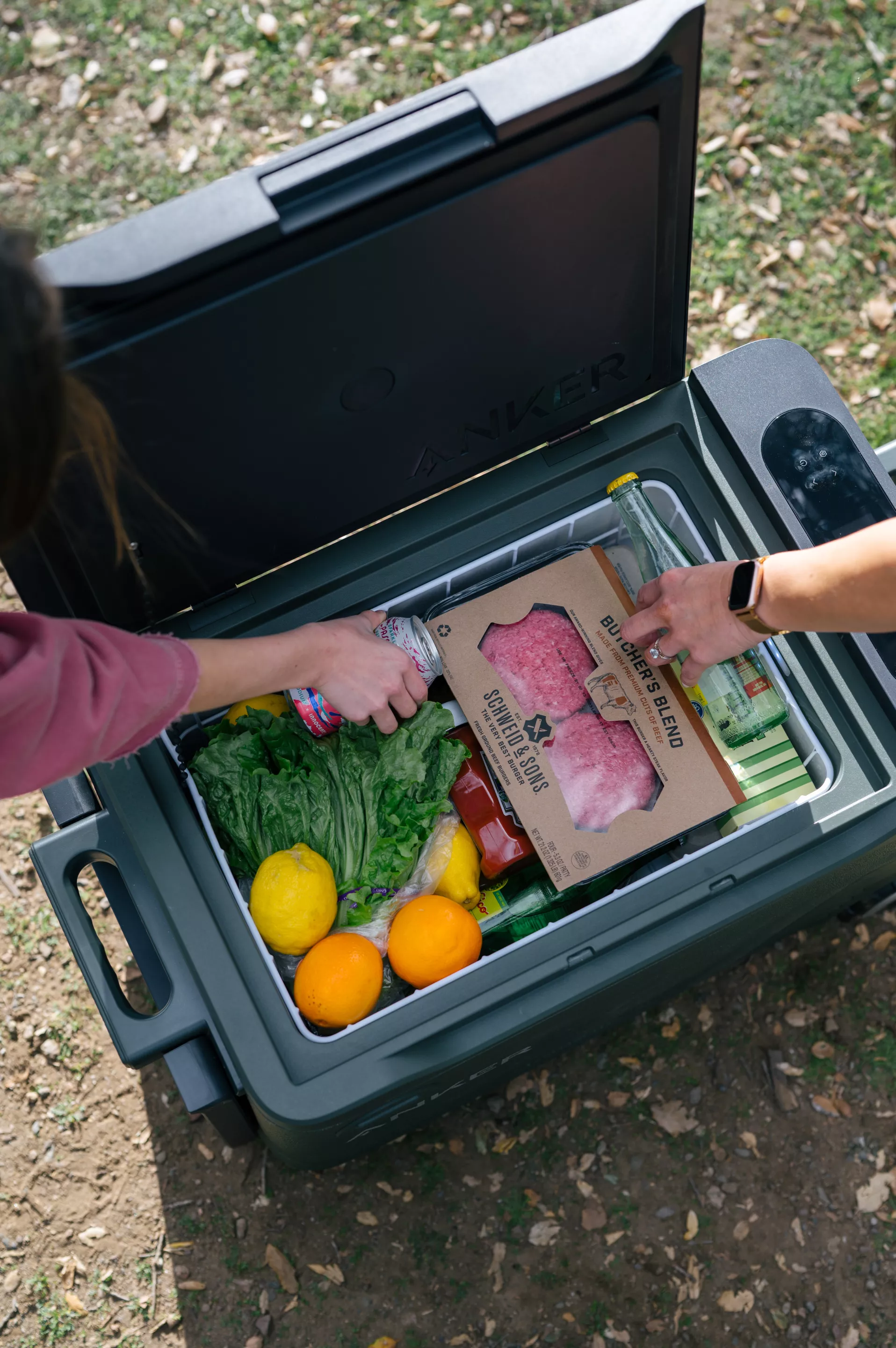 Anker EverFrost fridges can hold between 38 and 62 beverage cans (330-ml/11-oz size)