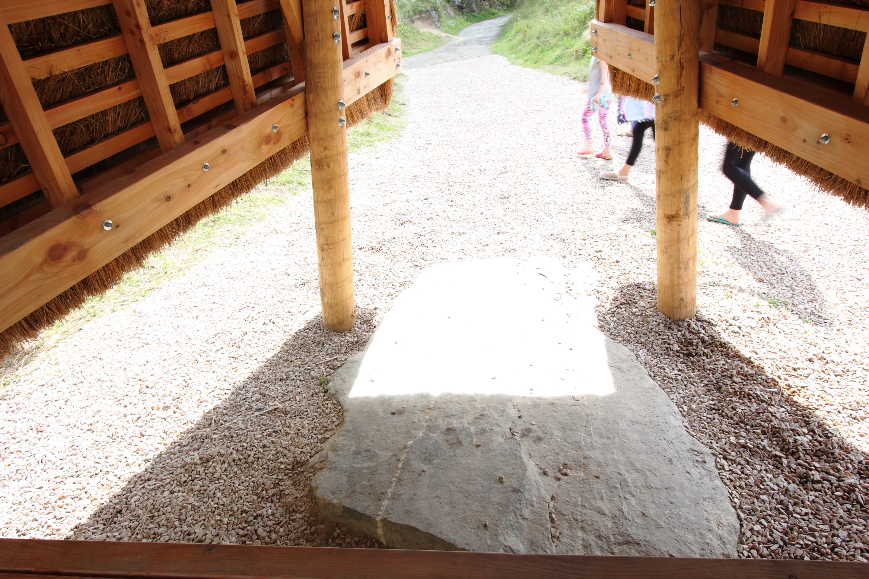 It stands on stilts to be sure that the ground beneath is not unduly disturbed (Photo: Emily Mannion/Thomas O’Brien)