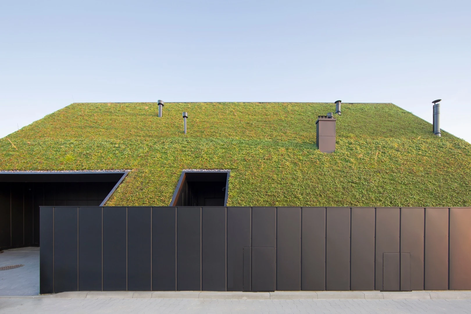 House behind the Roof's green roof offers insulation and privacy