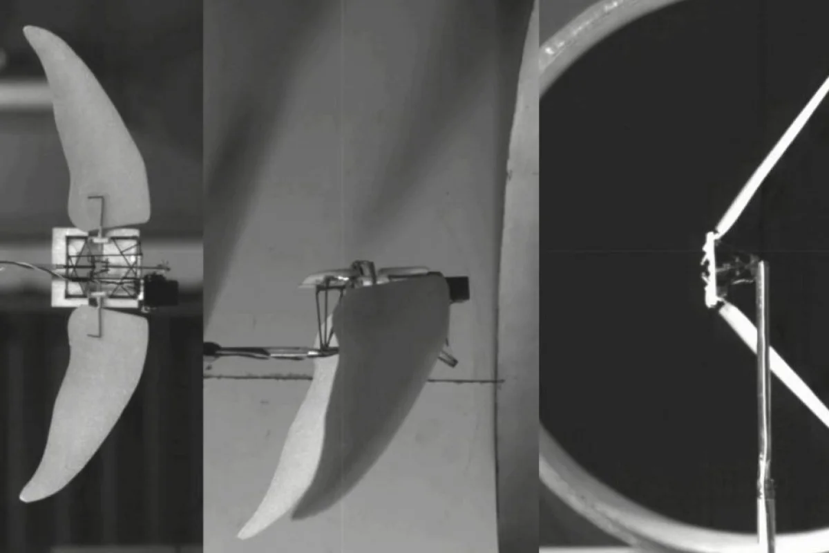 Researchers inspired by the wings of swifts and swftlets have developed an experimental Micro Air Vehicle which combines flapping and gliding flight modes for improved efficiency