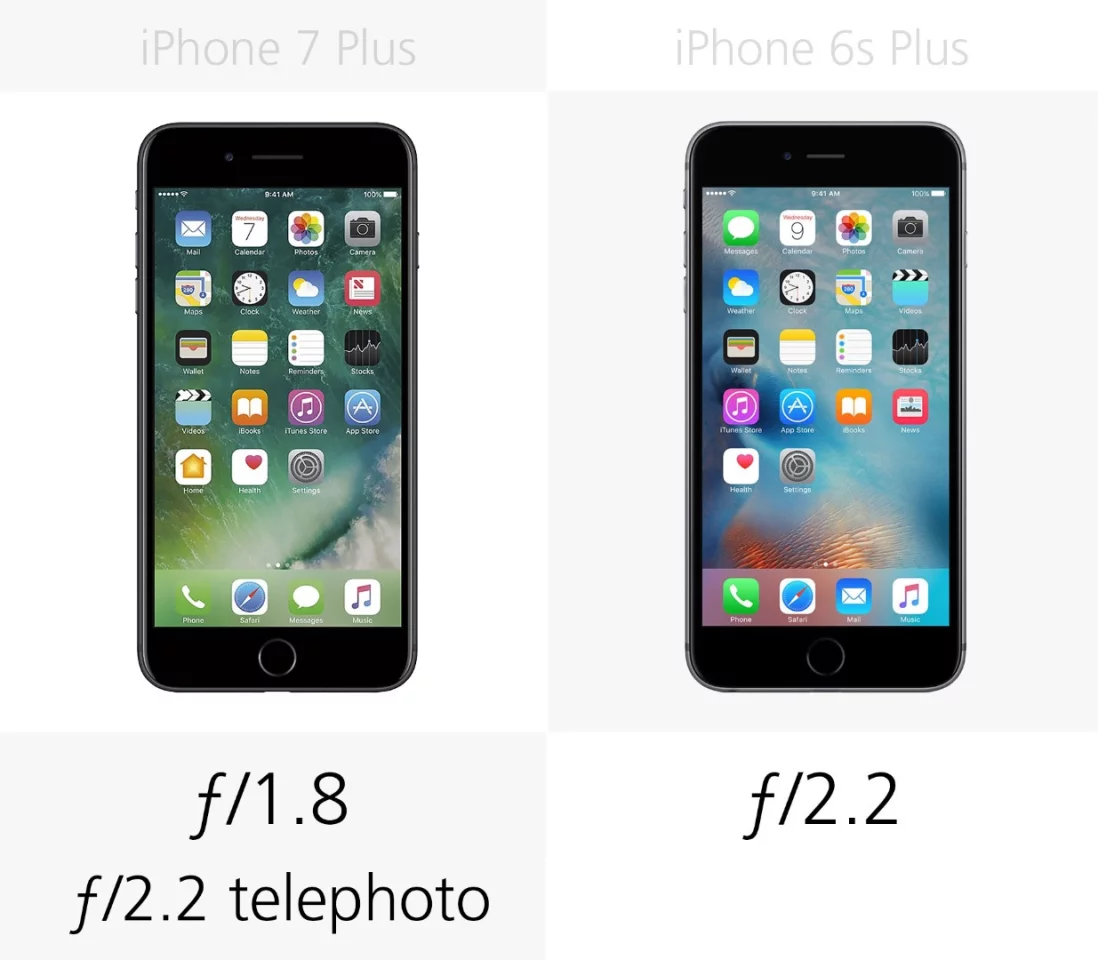 Camera aperture (rear)