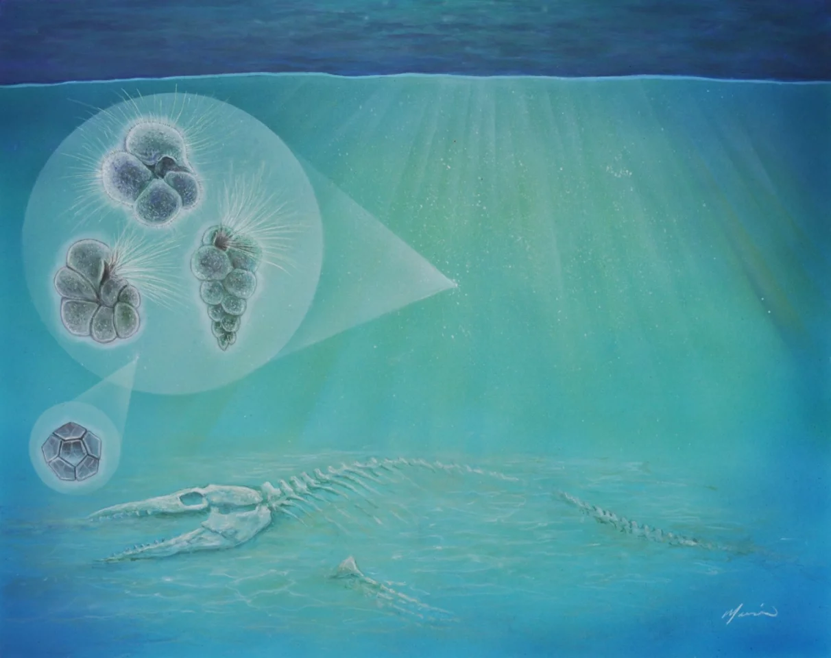 Artist's impression of the sea floor following the impact of the dinosaur killing asteroid