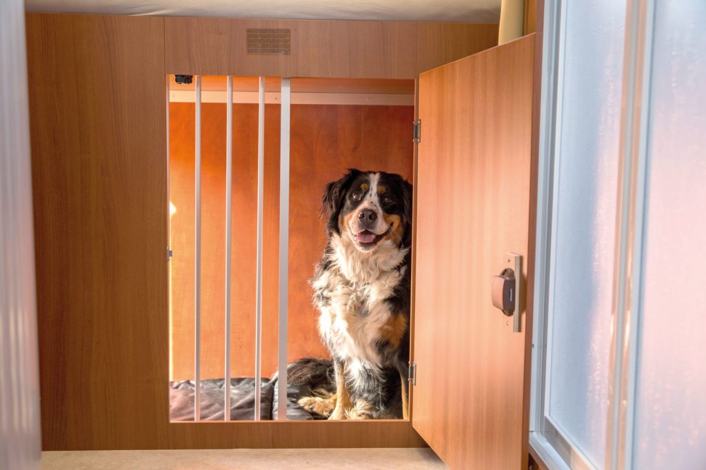 The sliding gate allows the dog to see inside while staying contained within the kennel