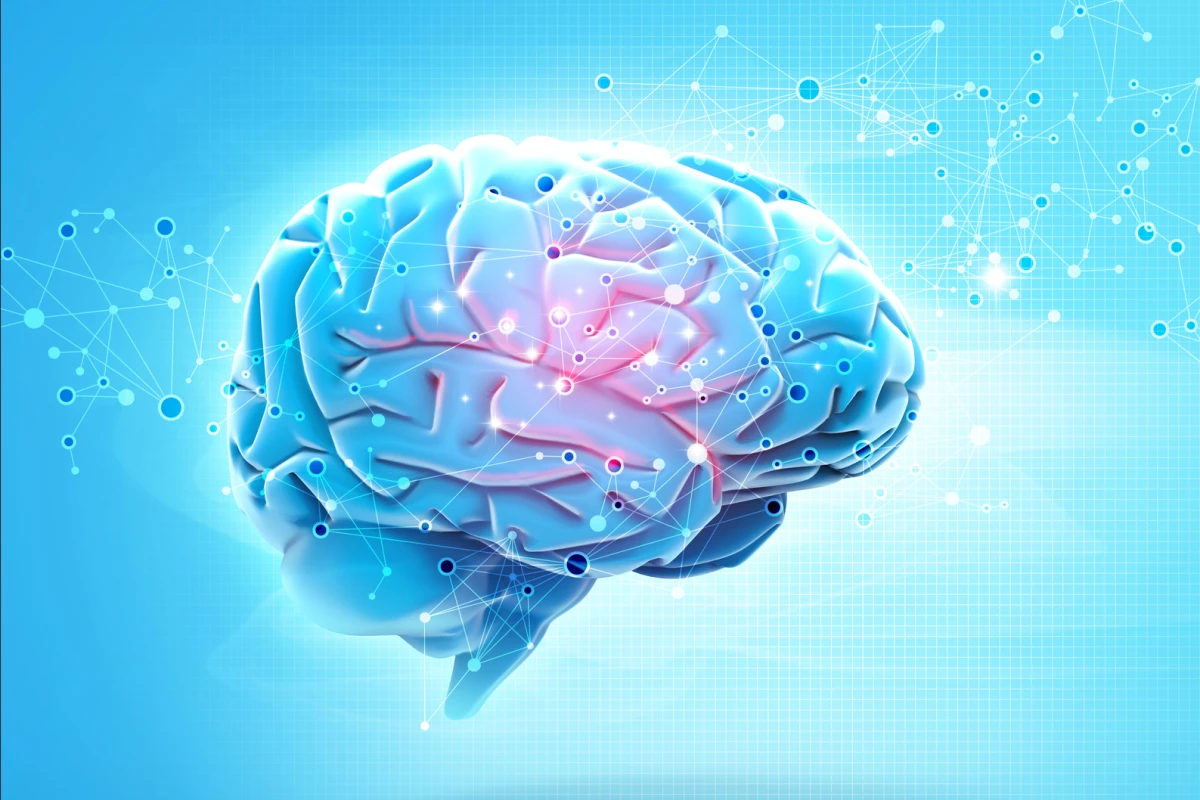 A new study has uncovered a relationship between elevated levels of calcium ions in the mitochondria and cell death in Alzheimer's