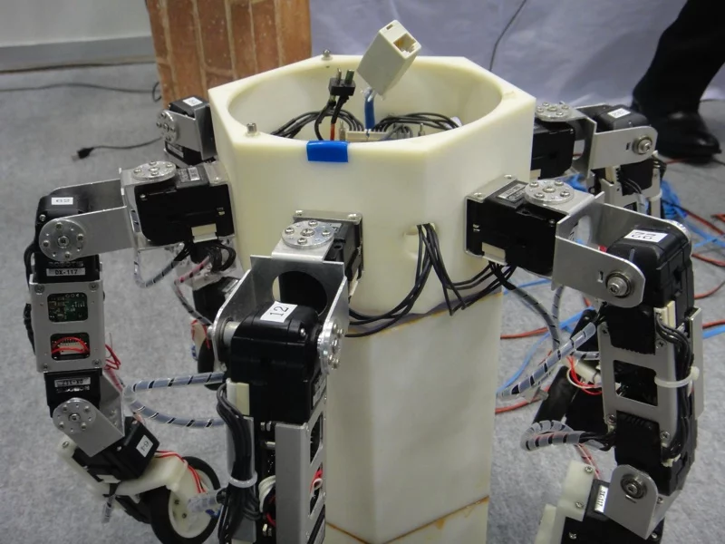 Detail of Asterisk's legs