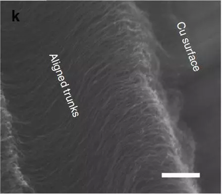 The adhesive in contact with a copper surface, as seen under a scanning electron microscope