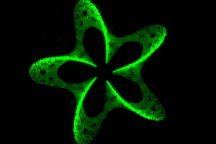 Fluorescent 3D pattern 180 µm wide (Image: Vienna University of Technology)