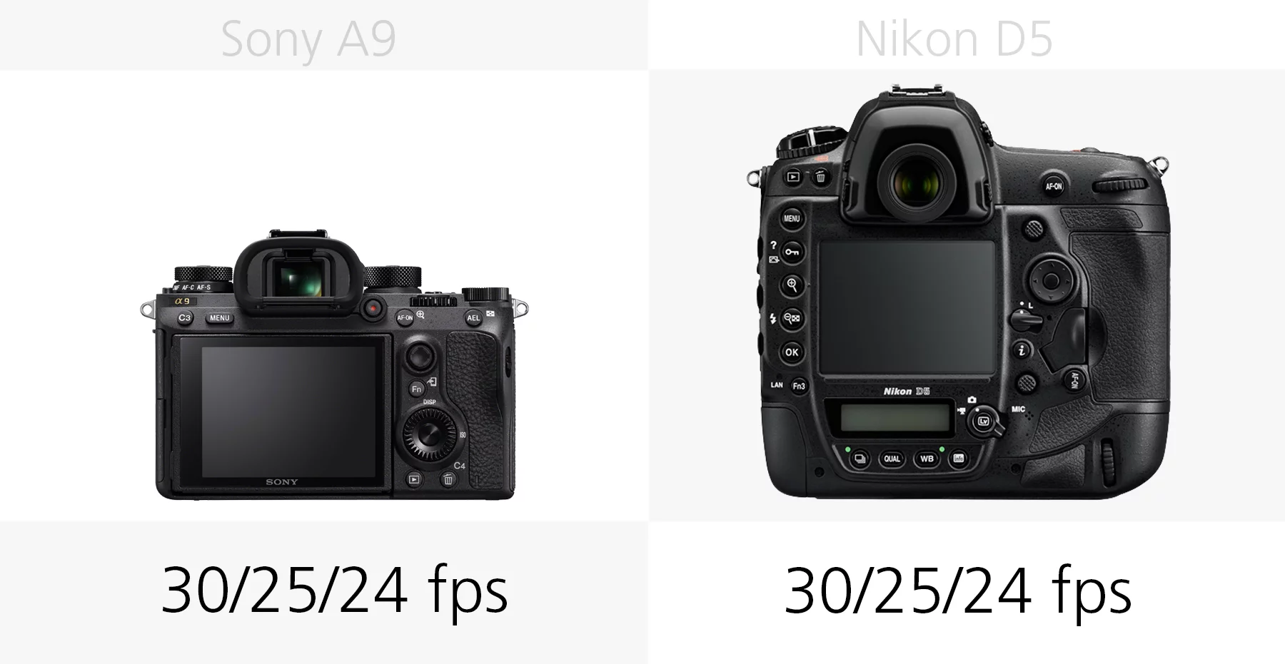 The 4K video frame-rates of the Sony A9 and Nikon D5 compared