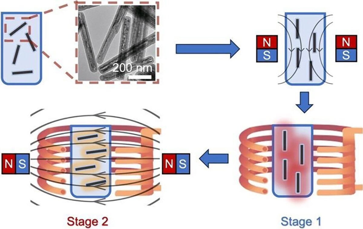 Nanowarming Technique Revolutionizes Organ Transplantation ?url=http%3A%2F%2Fnewatlas Brightspot.s3.amazonaws.com%2F15%2F8d%2Fbba5a0c44b869d95d7a49cf99433%2Fmagnetic Warming