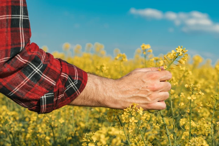 A new measure of pollen allergen count could help hay-fever sufferers pre-empt how they'll be affected
