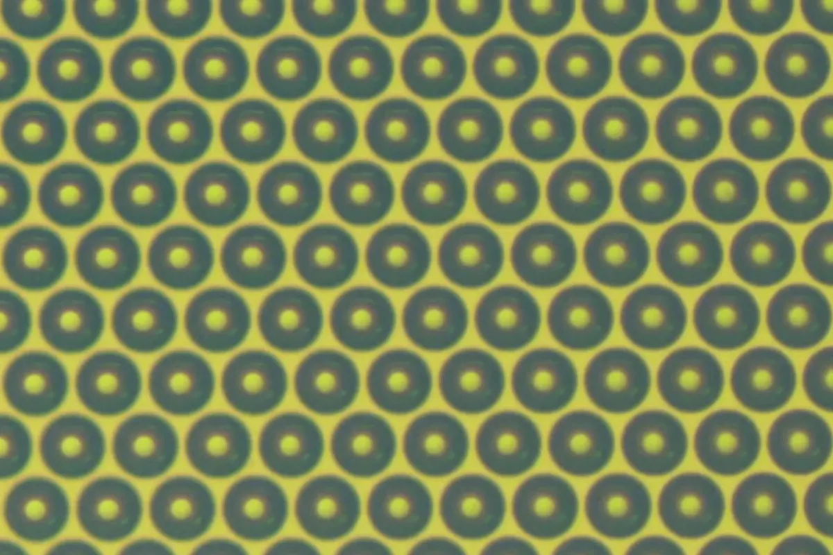 A close-up view of the microlenses making up the biochip array