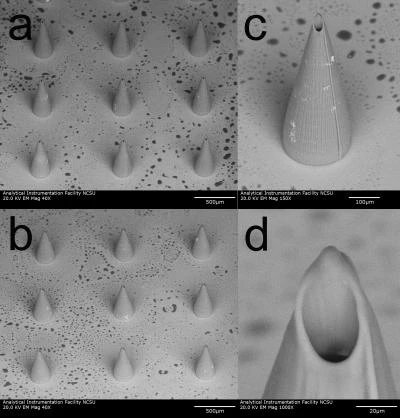 Hollow microneedles open the door to new techniques for diagnosing and treating a variety of medical conditions (Image: Roger Narayan, Faraday Discussions - Reproduced by permission of the Royal Society of Chemistry)
