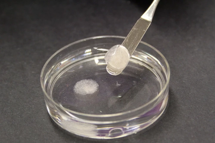 A sample of the eggshell powder-enhanced bone-growing hydrogel
