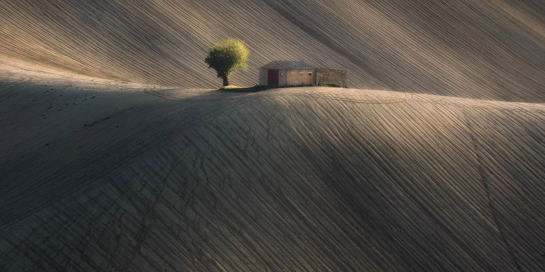 A highlight from the top 50 images in the Open, Nature category