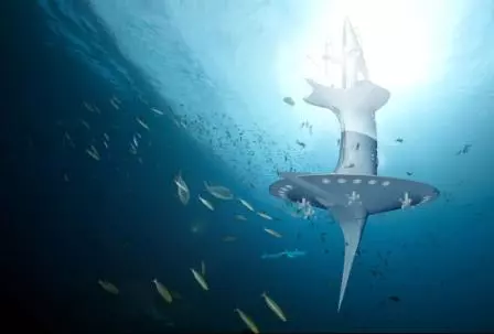 SeaOrbiter hopes to implement a new standard of scientific communication that allows researchers to track and monitor marine life in real time