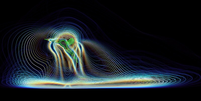 Computer simulation of mosquito aerodynamics