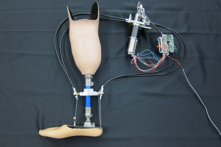 MTU researchers are hopeful that the all-seeing prosthetic foot will be pounding the pavement some time in the future (Photo: Michigan Tech)