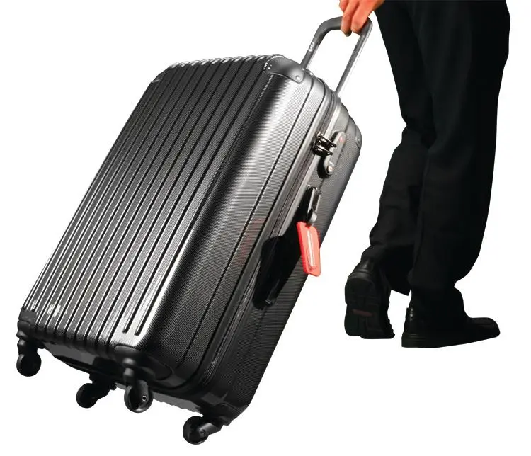 If you're a bed bug, don't get into this suitcase