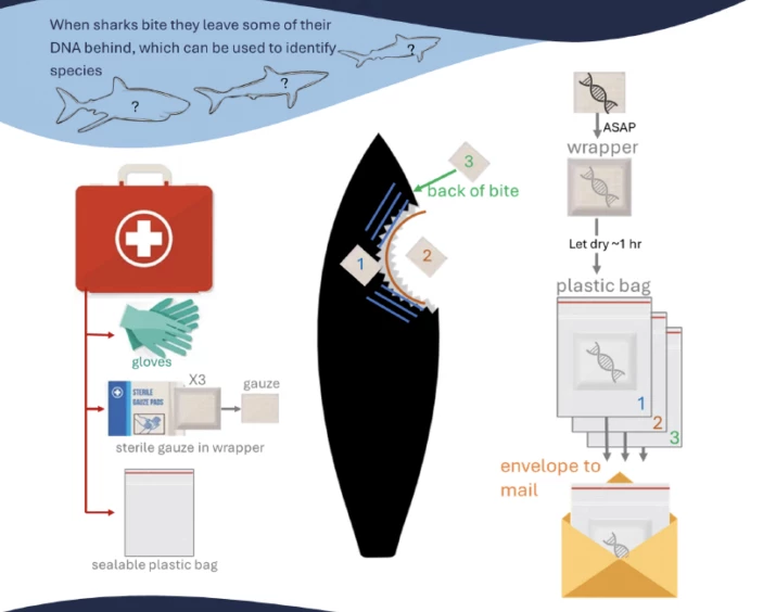 A handy set of instructions for using first aid kit gauze to collect transfer DNA