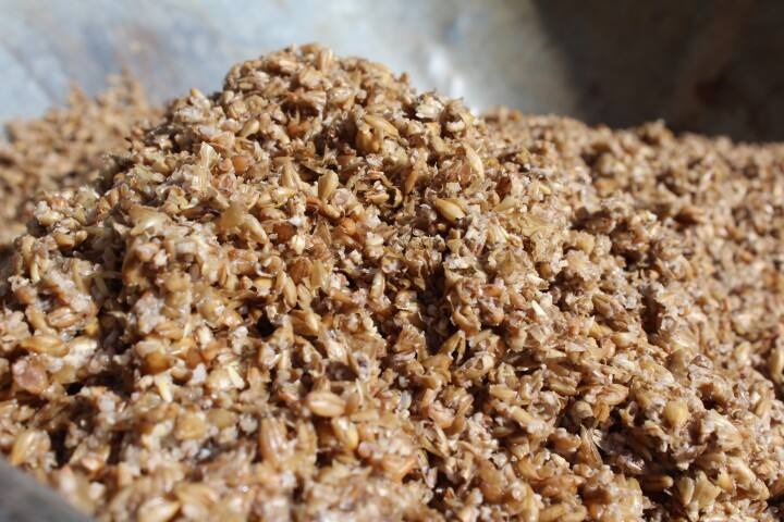 Although most of its flavor has been extracted, brewery grain waste still contains a lot of protein and fiber