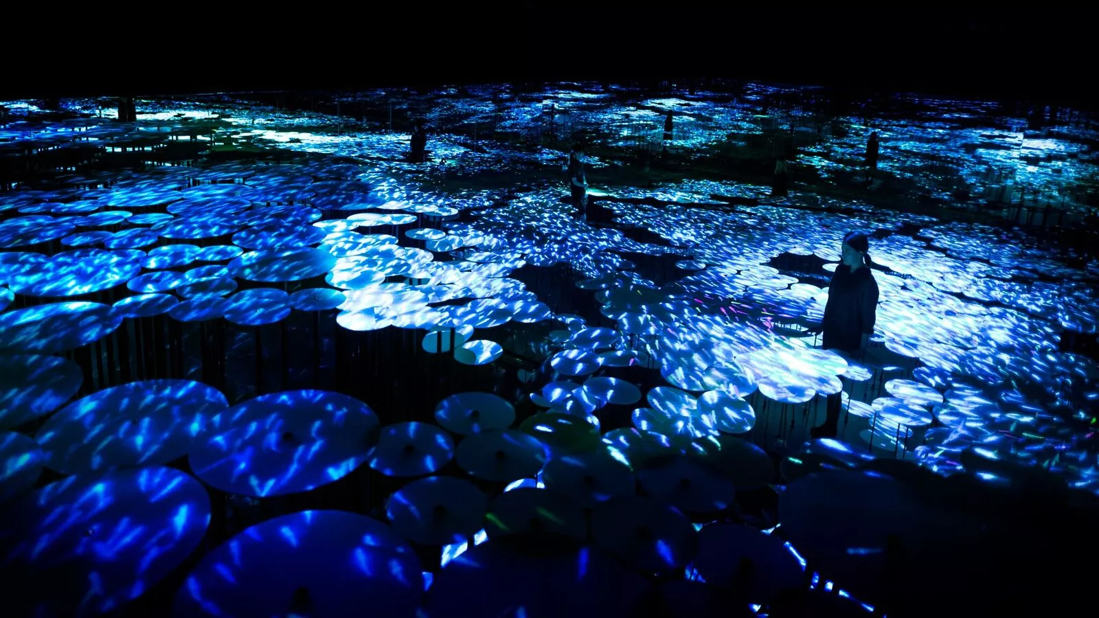 The Way of the Sea exhibit at Tokyo's Mori Building Digital Art Museum
