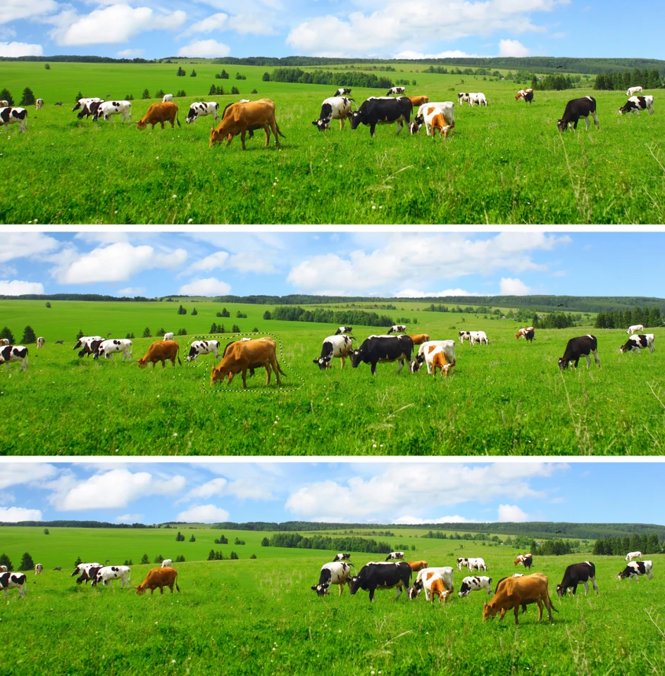 Photoshop CS6's Content-Aware Move and Patch tool is impressive when moving subjects around an organic background, such as grass (Photo: Shutterstock)