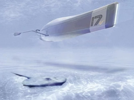 An early prototype in the design process, without the sophisticated oar-structure