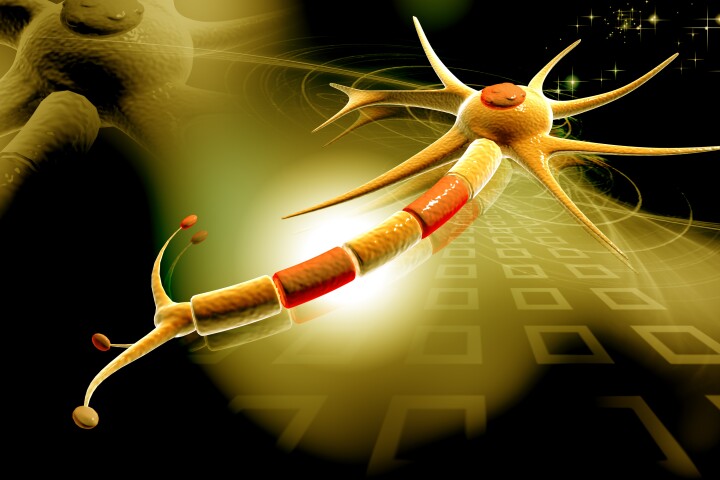 This new small drug molecule may help rescue repair damaged myelin sheaths