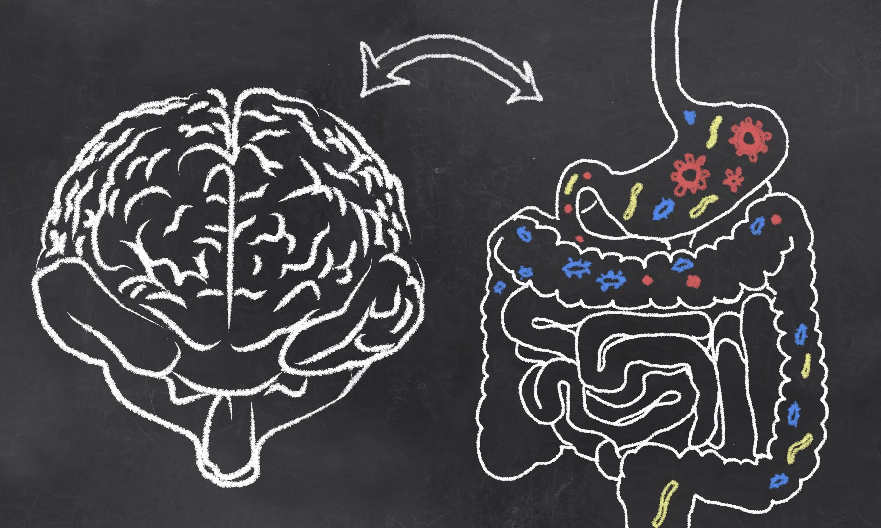 A new study shows that a person's gut microbiota can be positively altered through non-invasive transcranial magnetic stimulation